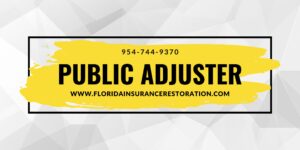 PUBLIC ADJUSTER-S